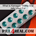 What Is Kamagra 100Mg Oral Jelly Used For dapoxetine1